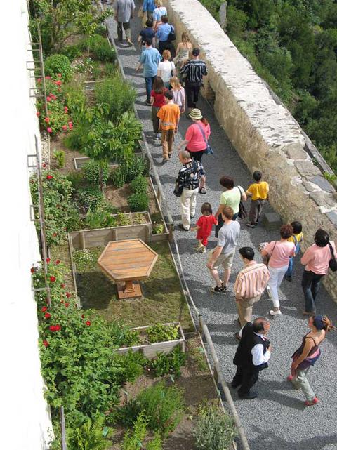 Besuchergruppe im Kräutergarten